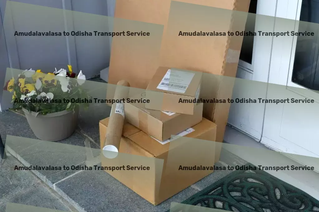 Amudalavalasa to Odisha Courier And Parcel Urban freight transport